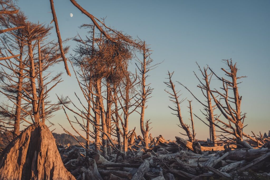 Photo climate resilience testing