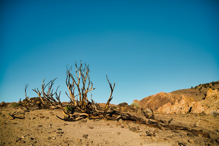 Photo climate resilience testing