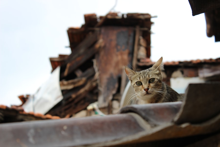 Photo Indemnisation post-catastrophe