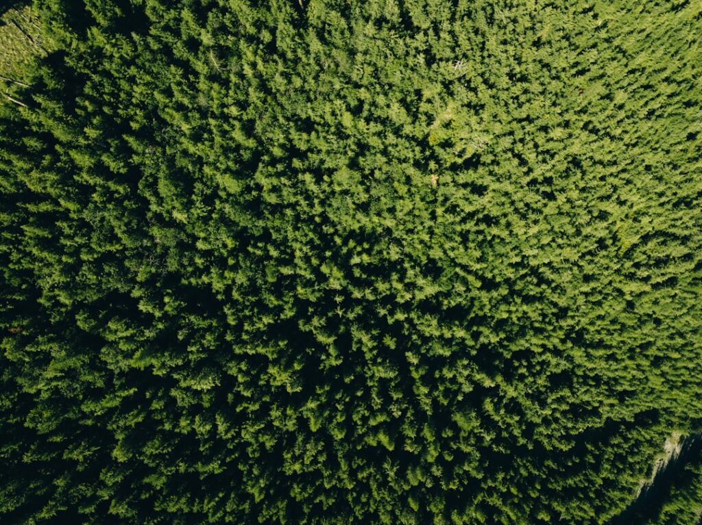 Photo carbon footprint