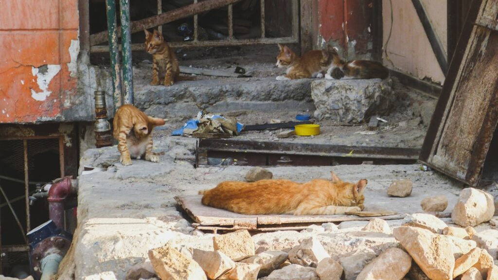 Photo CatNat regime reform