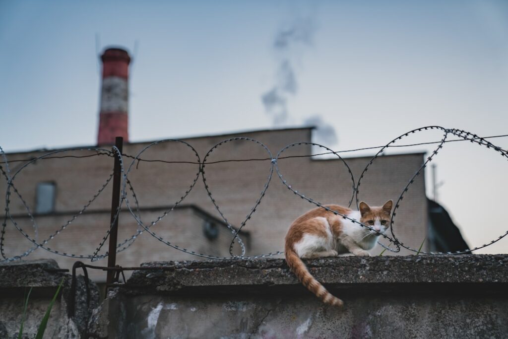 Photo CatNat regime reform