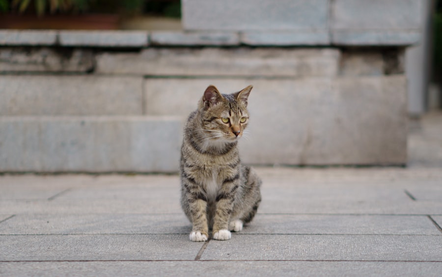 Photo CatNat regime reform