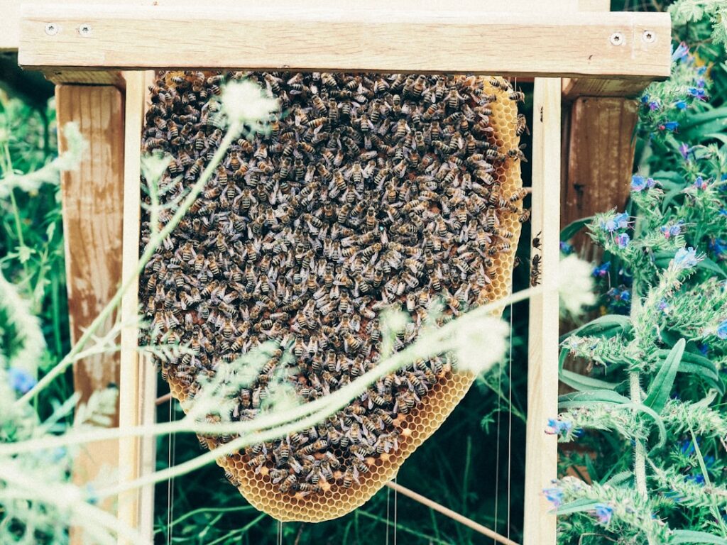 Photo API sécurisées
