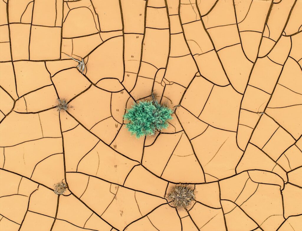 Photo ESG mapping