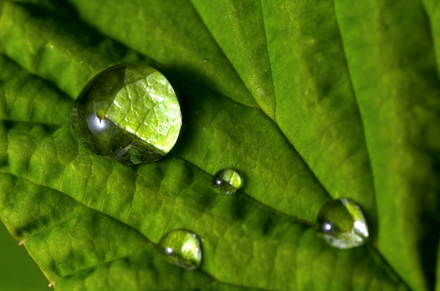 sustainable transformation
