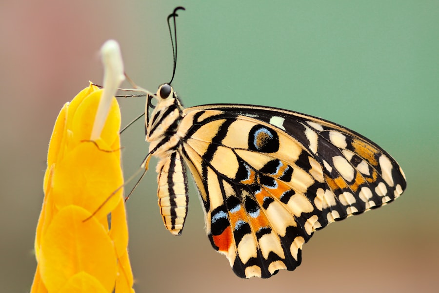 transformation fatigue organizationnelle