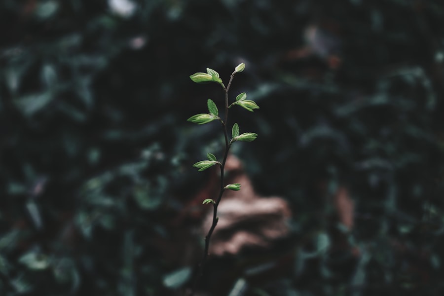 resilience IT