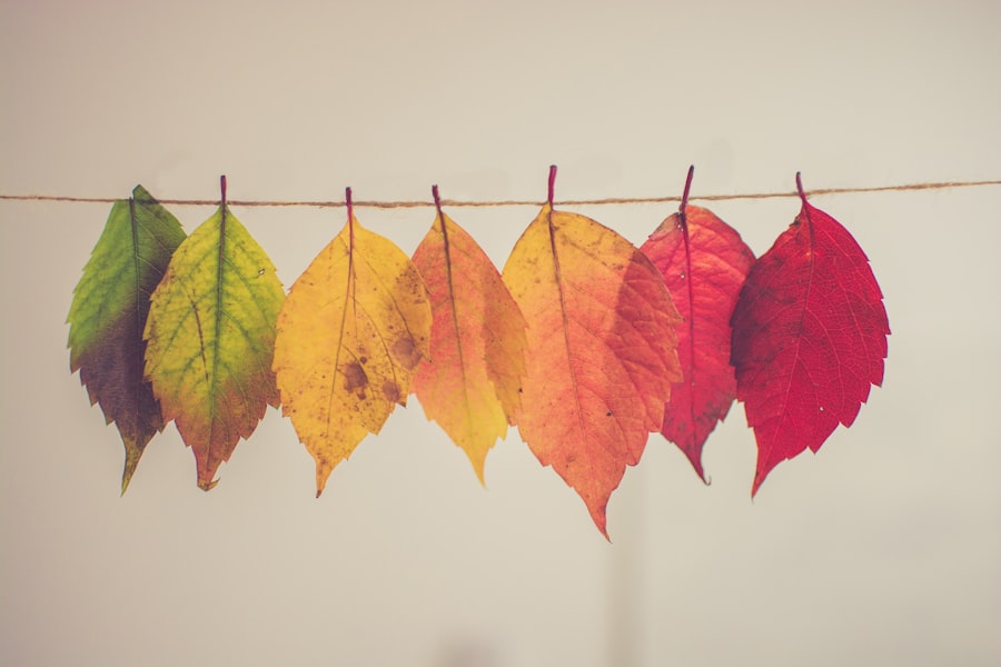 Change management