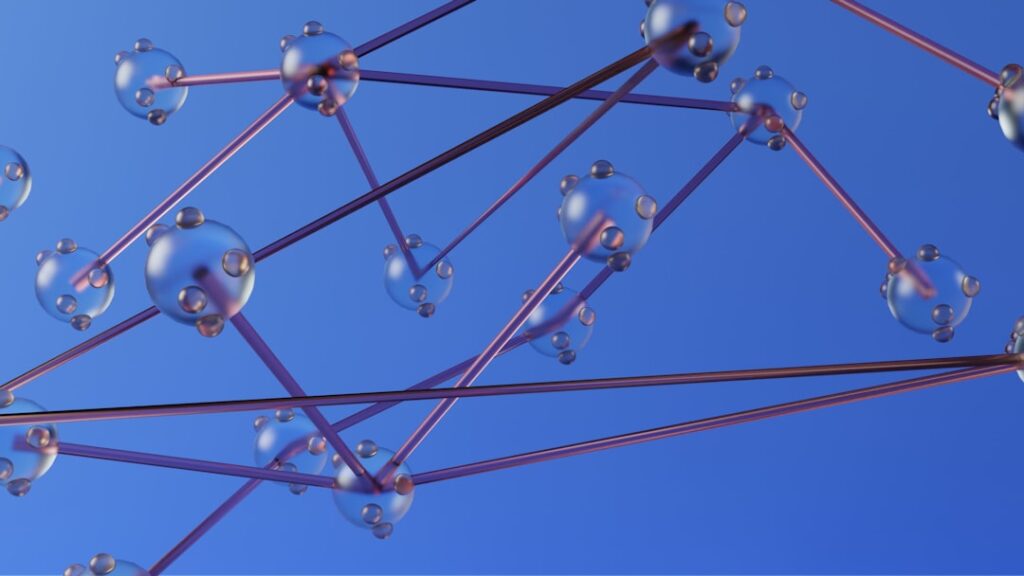 Photo distribution network optimization