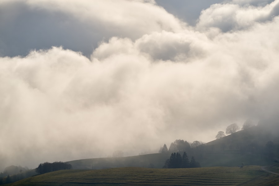 Photo cloud natives