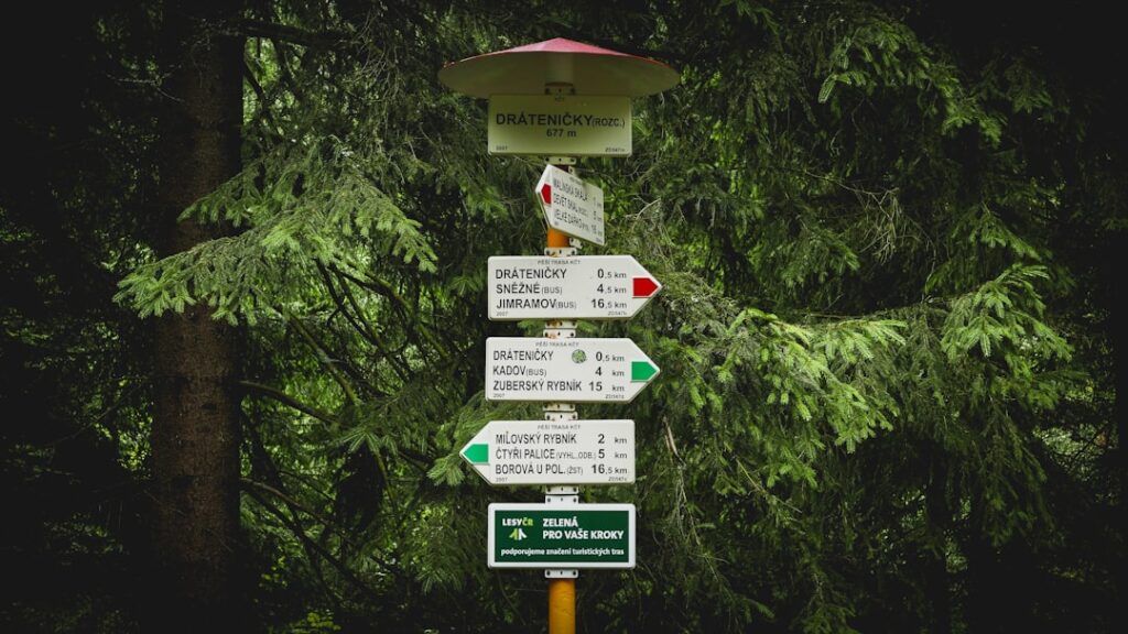 Photo automated decision-making