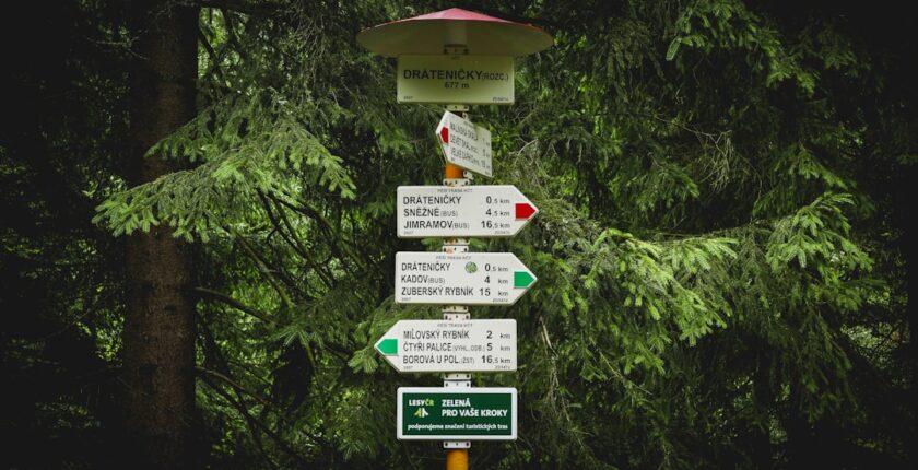 Photo automated decision-making