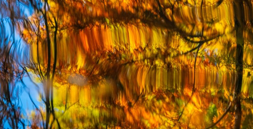 Photo process transformation