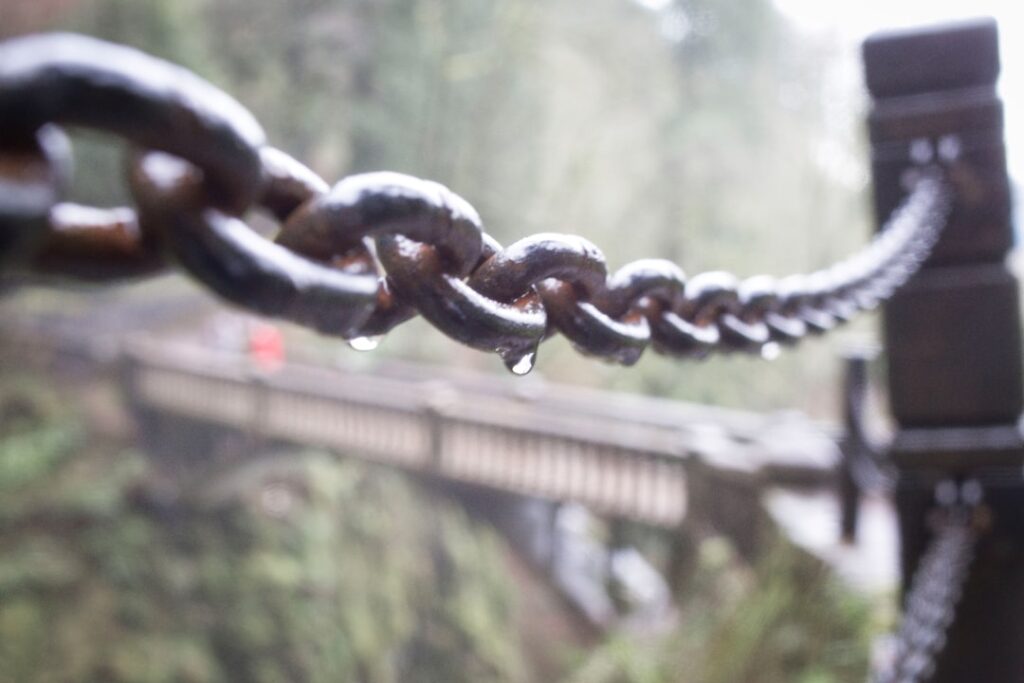 Photo value chain optimization