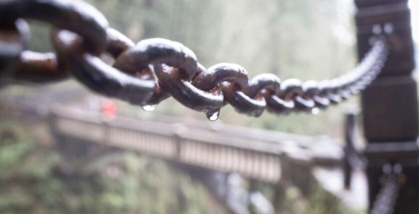 Photo value chain optimization