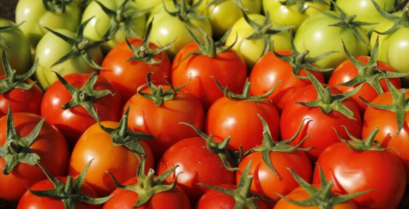 Photo management practices