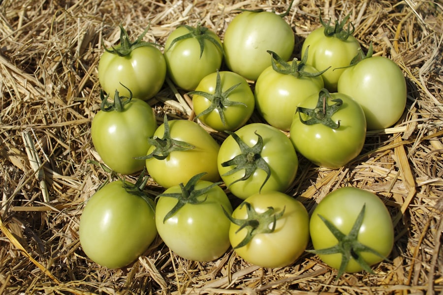 Photo management practices