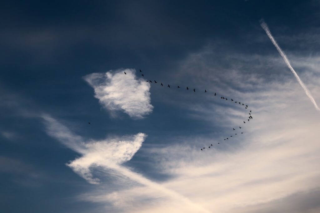 Photo Cloud migration
