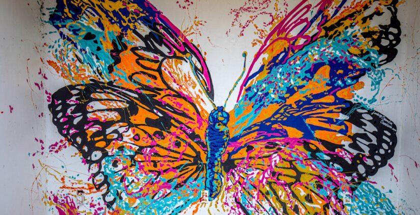 Photo transformation