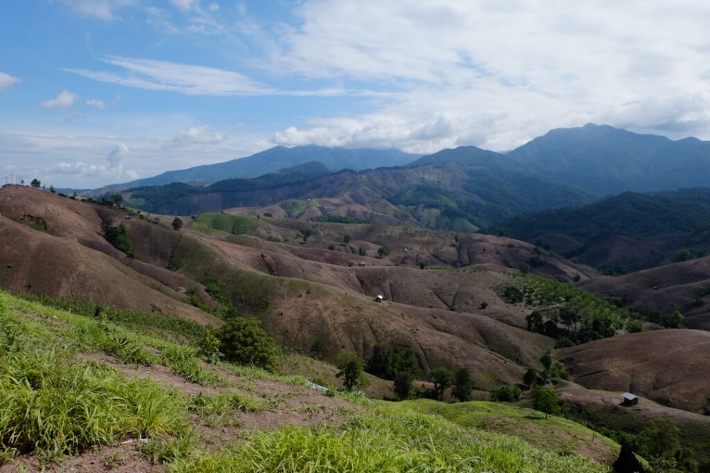 Photo biodiversity loss