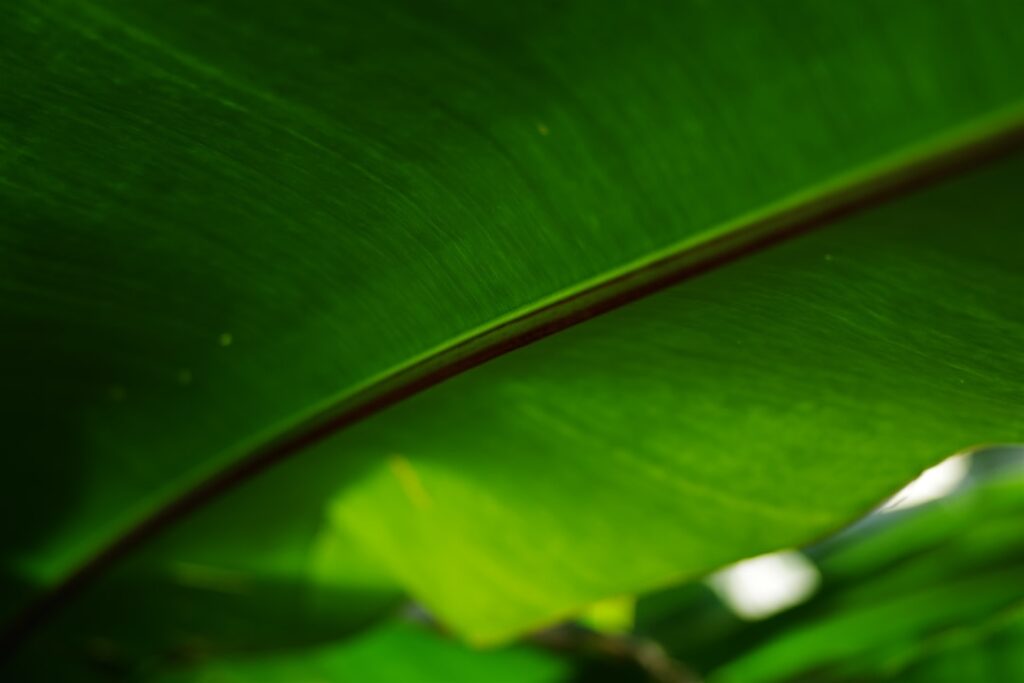 Photo sustainable practices