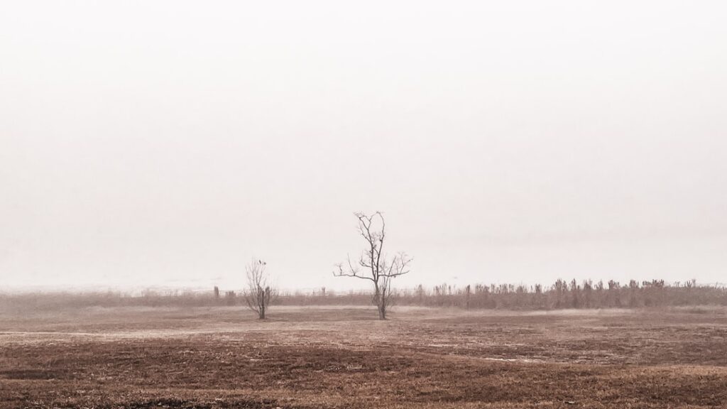 Photo visibility
