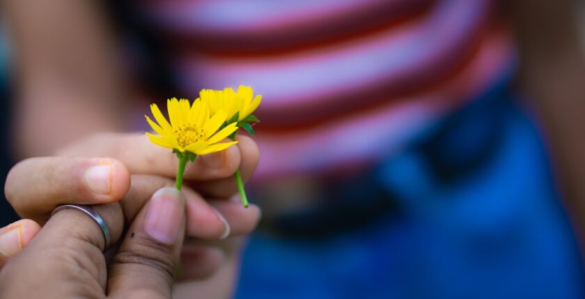 Photo distribution networks