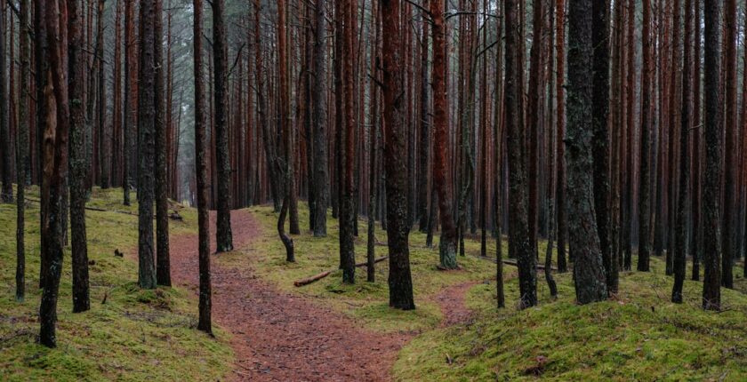 Photo Decision-making