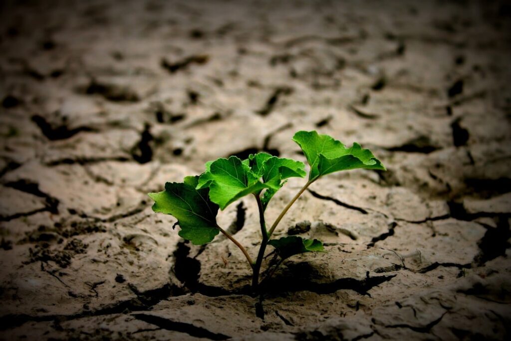 Photo sustainable transformation