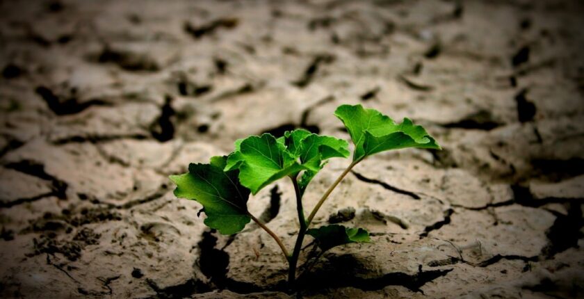 Photo sustainable transformation