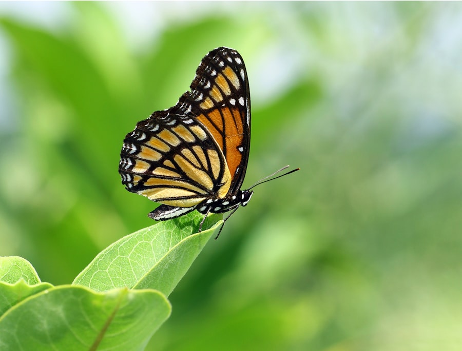 Photo sustainable transformation