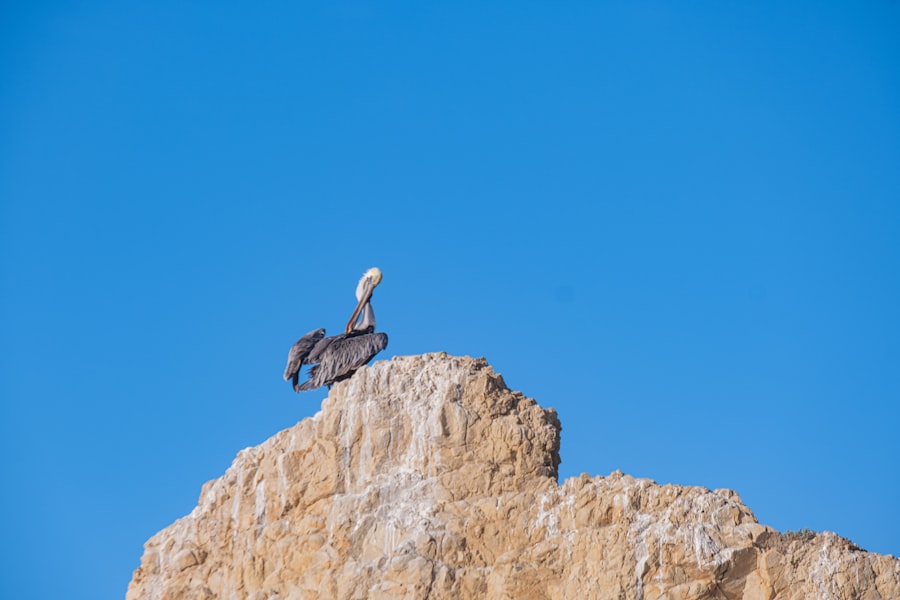 Agile transformation at scale: effective leaders