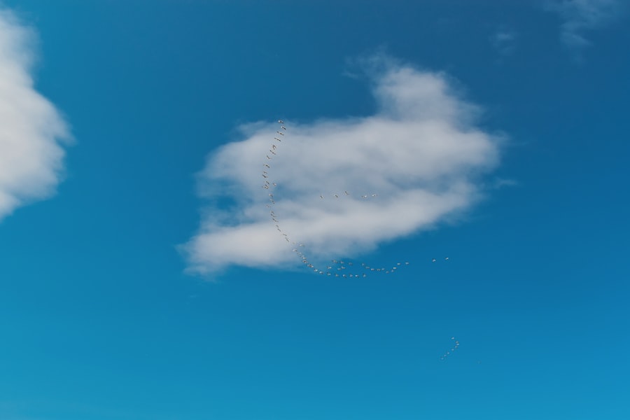 Migration cloud
