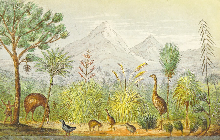 European taxonomy