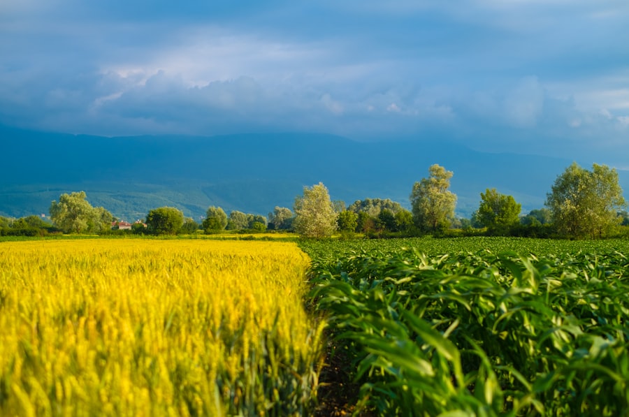 European taxonomy in agricultural insurance: Method for reinsurers