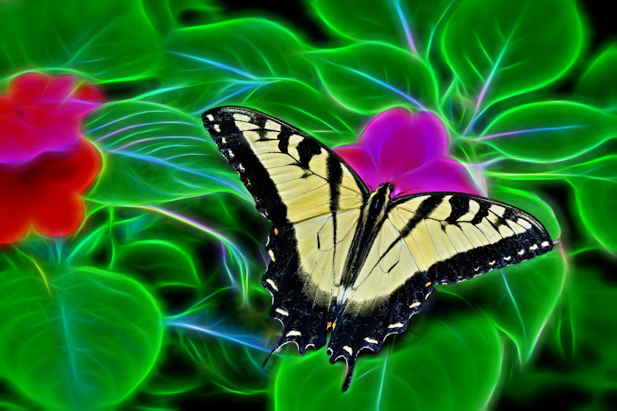 Transformation multi-entities: orchestrate harmonization