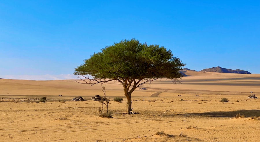 Desertification assurantielle