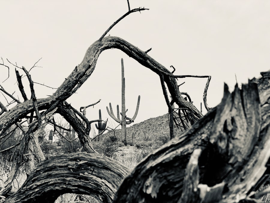 resilience territory