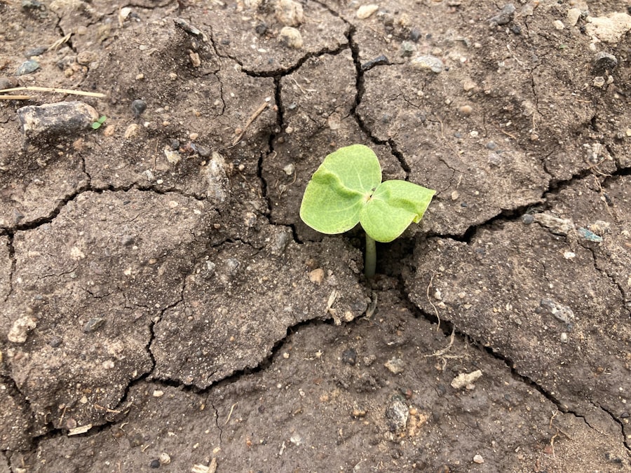resilience