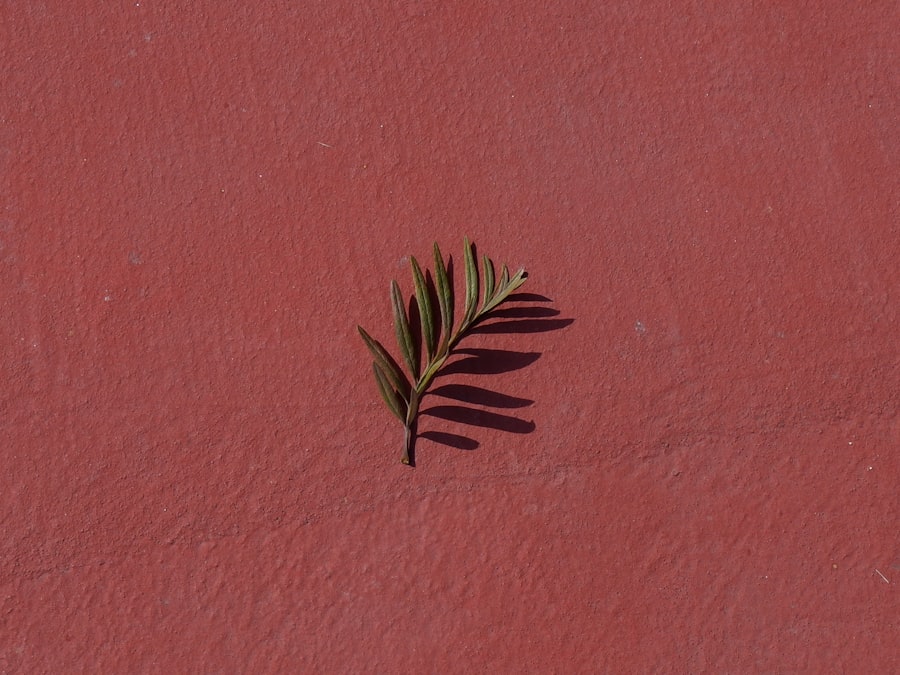 simplification