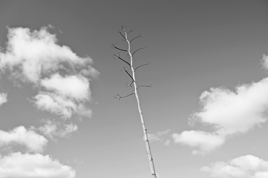 Agility at Scale