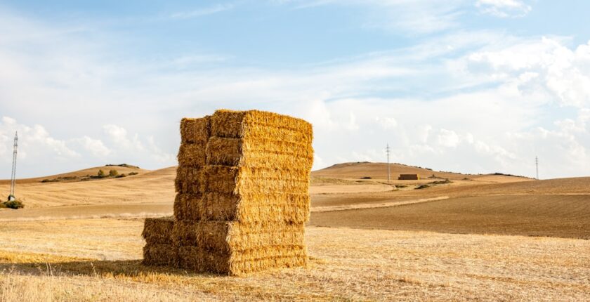 Photo agricole insurance