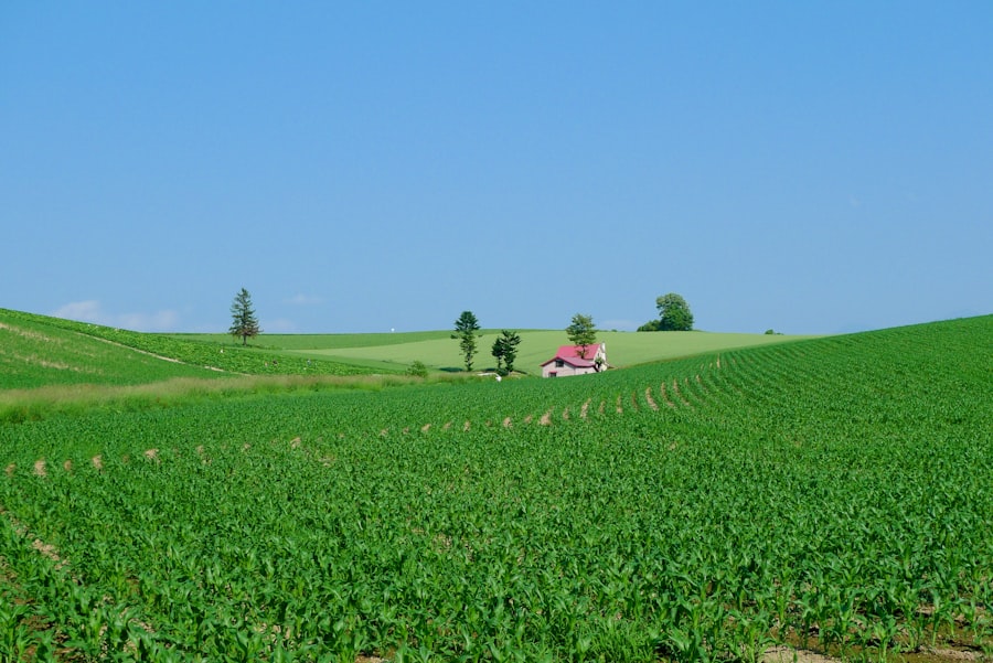 Photo agricole insurance