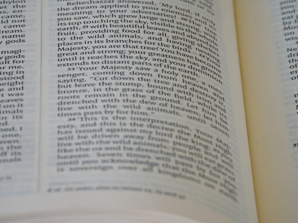 Photo European Taxonomy