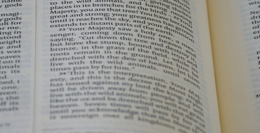 Photo European Taxonomy