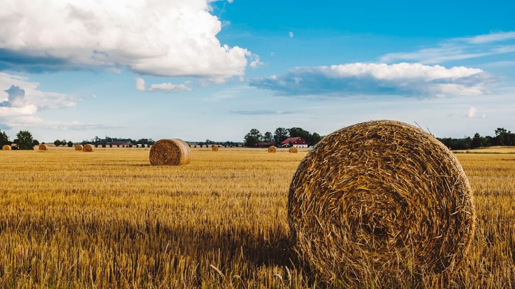 Photo Agricultural insurance