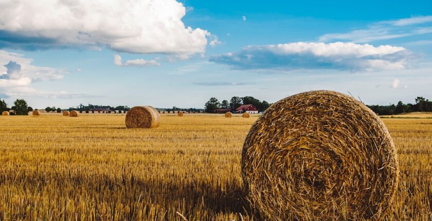 Photo Agricultural insurance