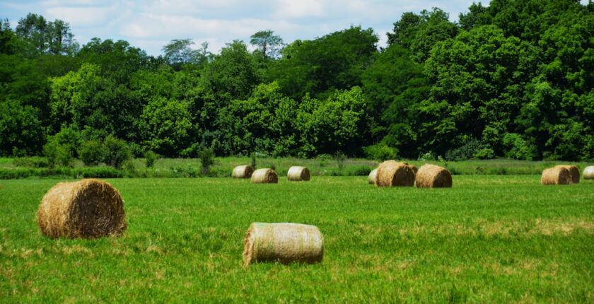 Photo Agricultural insurance