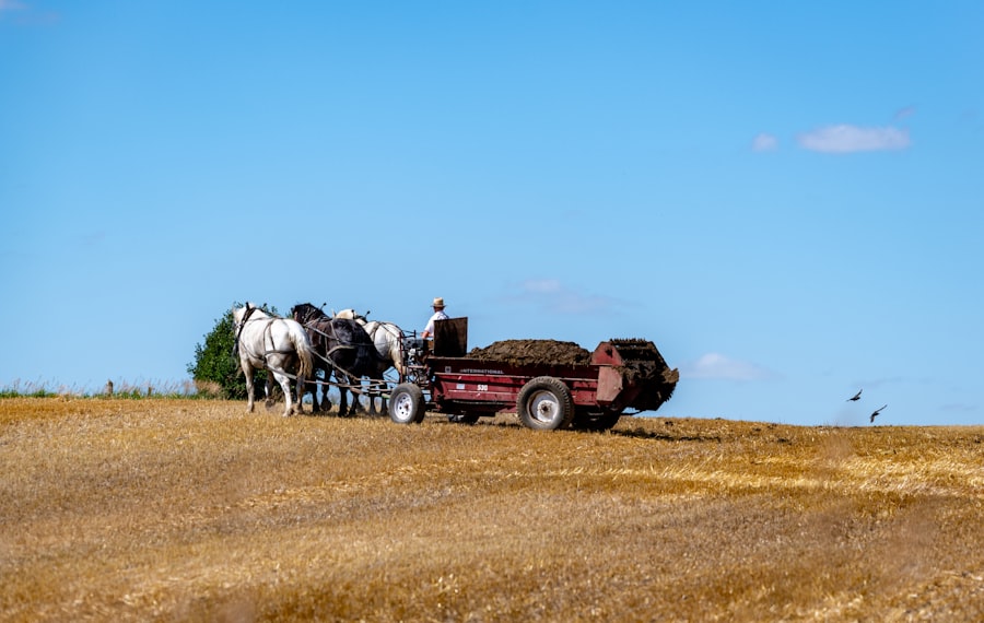 Photo Agricultural insurance